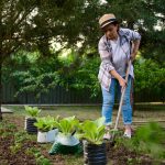 Woman working on her backyard homestead